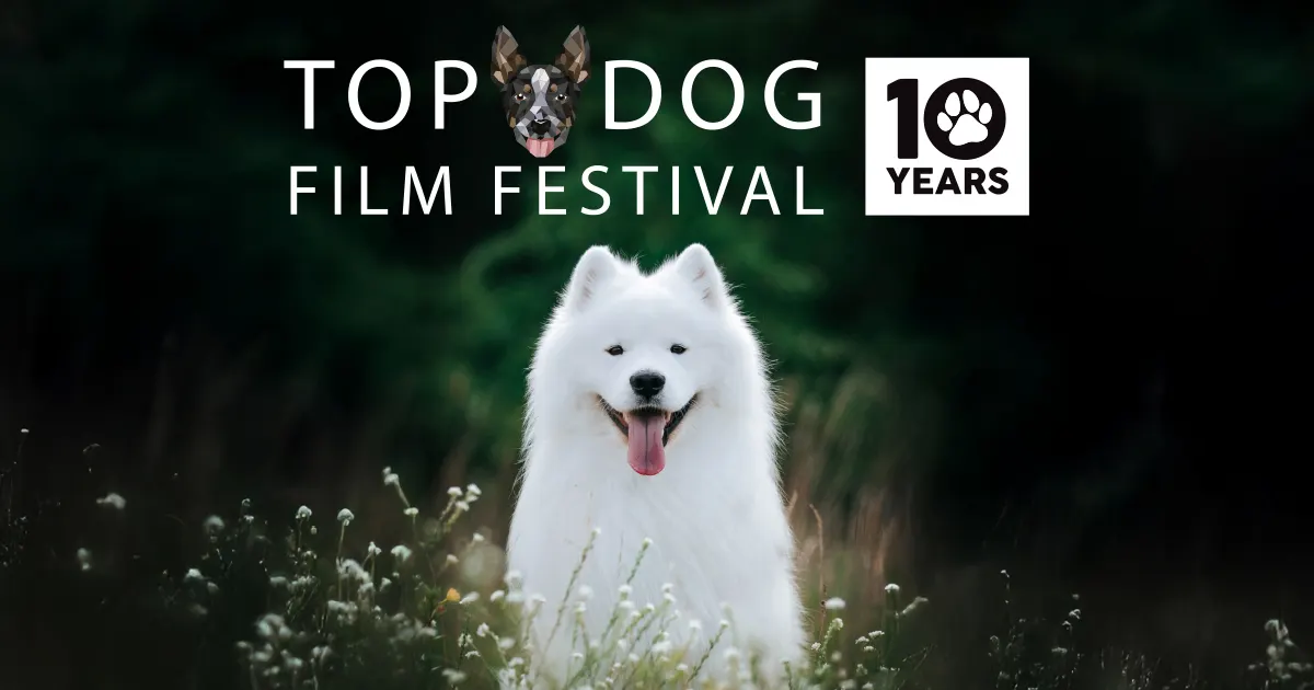 Ist möglicherweise ein Bild von Text „TOP DOG FILM FESTIVAL 10 1 YEARS“